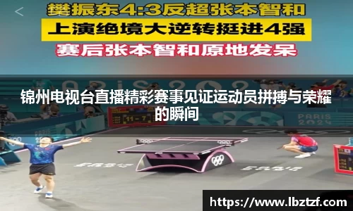 锦州电视台直播精彩赛事见证运动员拼搏与荣耀的瞬间